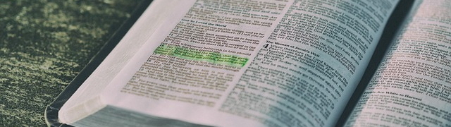 Interior of a large modern library filled with tall cylindrical bookshelves reaching toward the ceiling, with people walking, reading and sitting in the open central space