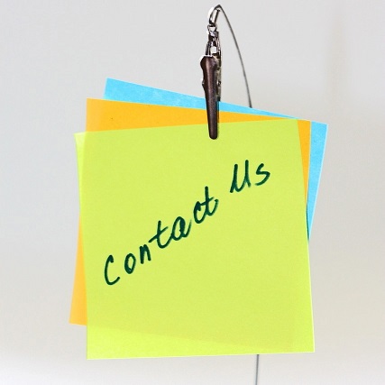 Interior of a large modern library filled with tall cylindrical bookshelves